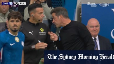 VAR denies Fulham in controversial call