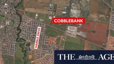 Two boys, 12 and 15, stabbed to death in Melbourne’s west