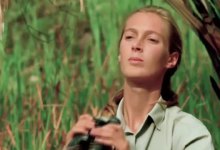Wildlife advocate, primate expert Jane Goodall dies at 91
