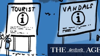 Best of cartoons, August 26, 2025