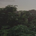 Exo Planet 3D Simulation