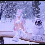 🎅Dear Santa🎅 겨울의 순간