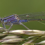 house_20070603_D_18482