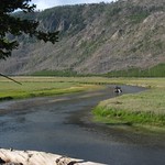 Madison River, Yellowstone National Park, Wyoming