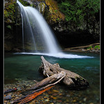 Iron Creek Falls, Washington....