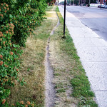 piste cyclable primitive - primitive cycle path