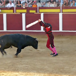 Stabbing the Bull