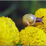 it's a big big world !!