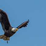 Mission with its Meal