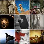 Things I Love Thursdays- Jutta Edition