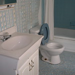 main bathroom (before)