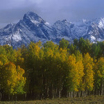 Dallas Divide