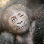 2016-02-04-14h32m22.BL7R7868