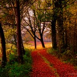 A beautiful autumn afternoon