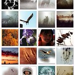 Explore Photos 2006 ~Thank you to all my Flickr Friends for helping me along the way~