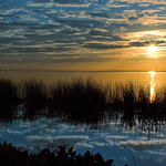 sunset over lake apopka