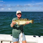 Another Nice Throw Back