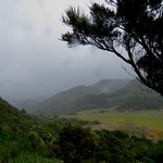 There Was Rain In Them There Hills...!