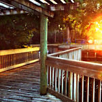 Sunset at Magnolia Park