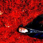 fichi vs costipazione