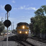 DSC_0333-Davis-ZG2OA-8904