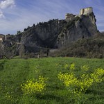 giallo primaverile verso San Leo