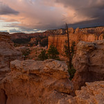 Soft Light in Bryce