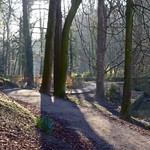 Gledhow Valley Morning