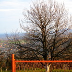 View through the fence ( In explore )