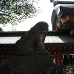 komainu