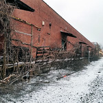 Walking along the tracks, early morning, January 29, 2016