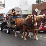 Eagle Festival Wagon