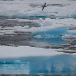 Silence of The Arctic Wilderness Davis Strait Canada Greenland