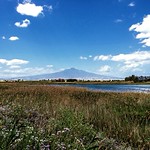 The Etna from Primosole East #CT #Sicilia #Italia .