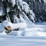 Juste une touche d'orange