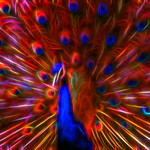 you don't need drugs to see colors