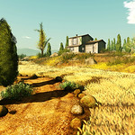 shooting stars | bella pace | 01