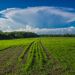Distant thunderstorm