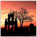 House of the rising sun