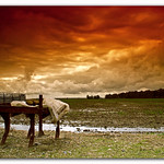 Waiting for sowing time