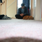 Pensive