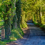 Howgare Road, Broadchalke