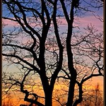 Yesterday's sunset glow