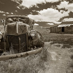 Bodie Composition