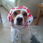 England who???? NO freaking way!!!!