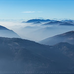 Fog - #explore
