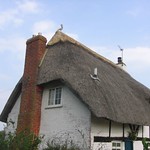 Thatched