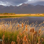 Ninepipe National Wildlife Refuge