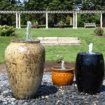 Wheaton, IL, Cantigny Park, Rose Garden Scene with Fountain