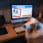 35-52 Della - Calendar Girl